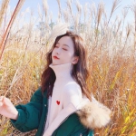 尊龙网址登录官网